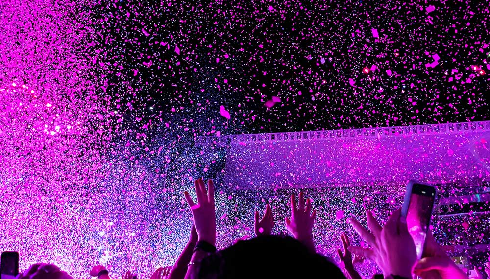 fans at sports event