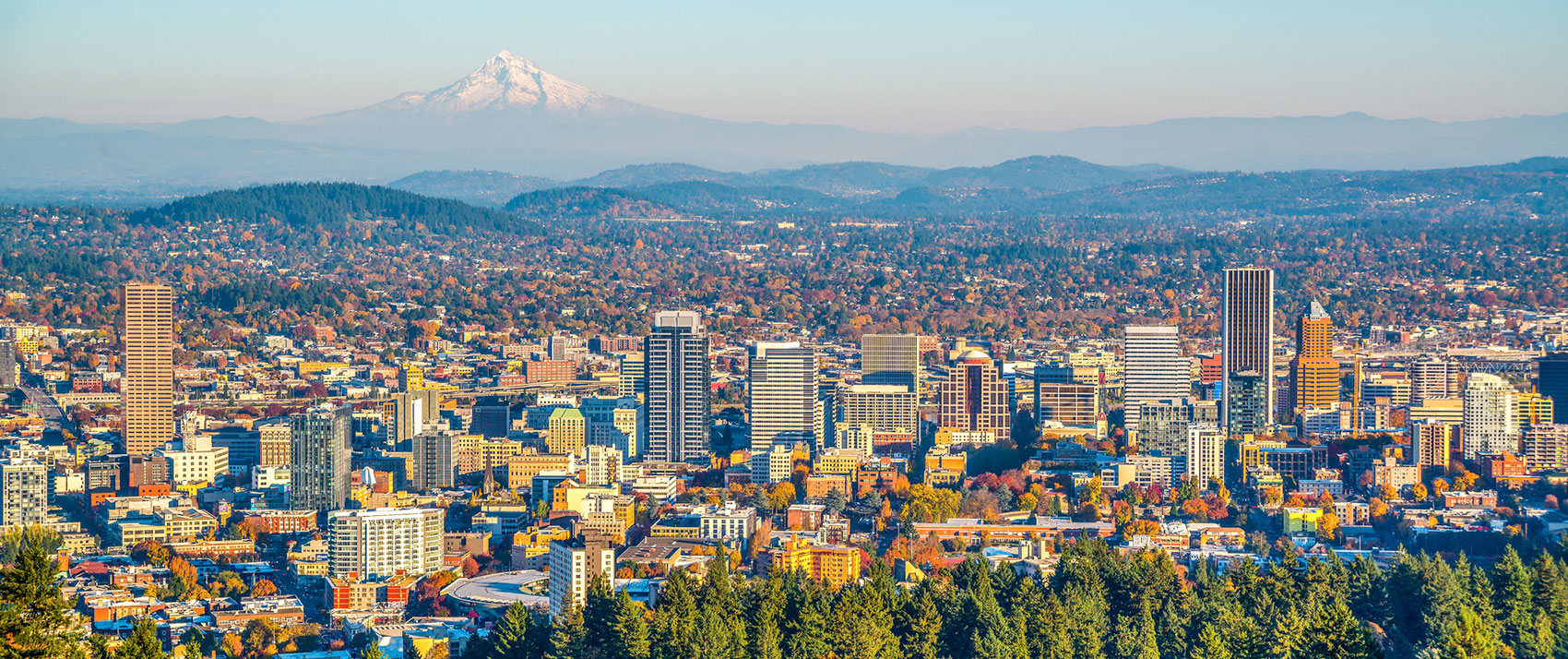 aerial view of Portland with mountains in background